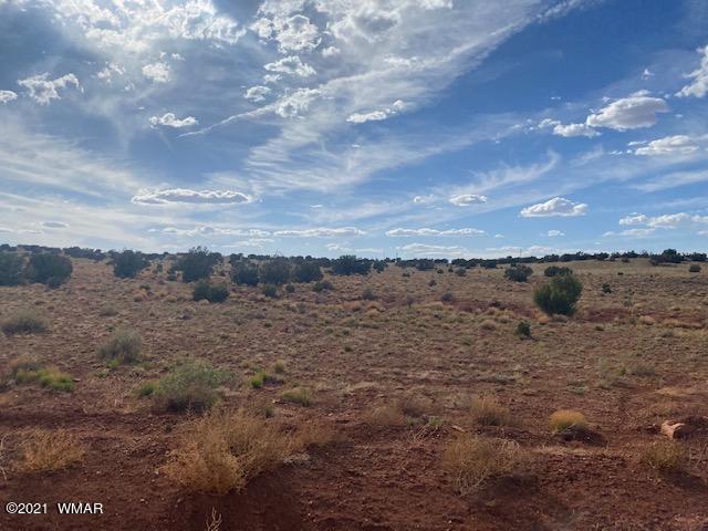 R5270 (hunt Rd) Concho, AZ 85924 - Photo 3 of 4