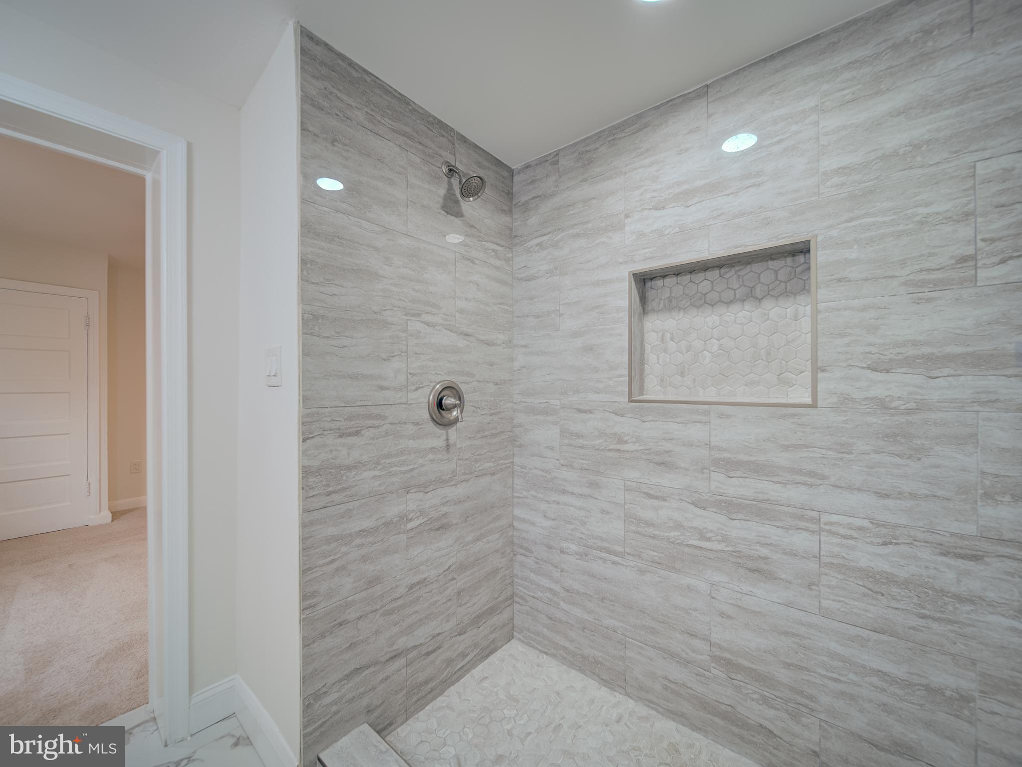4308 Alabama Avenue Southeast Washington, DC 20019 - Photo 45 of 47 a bathroom with a shower