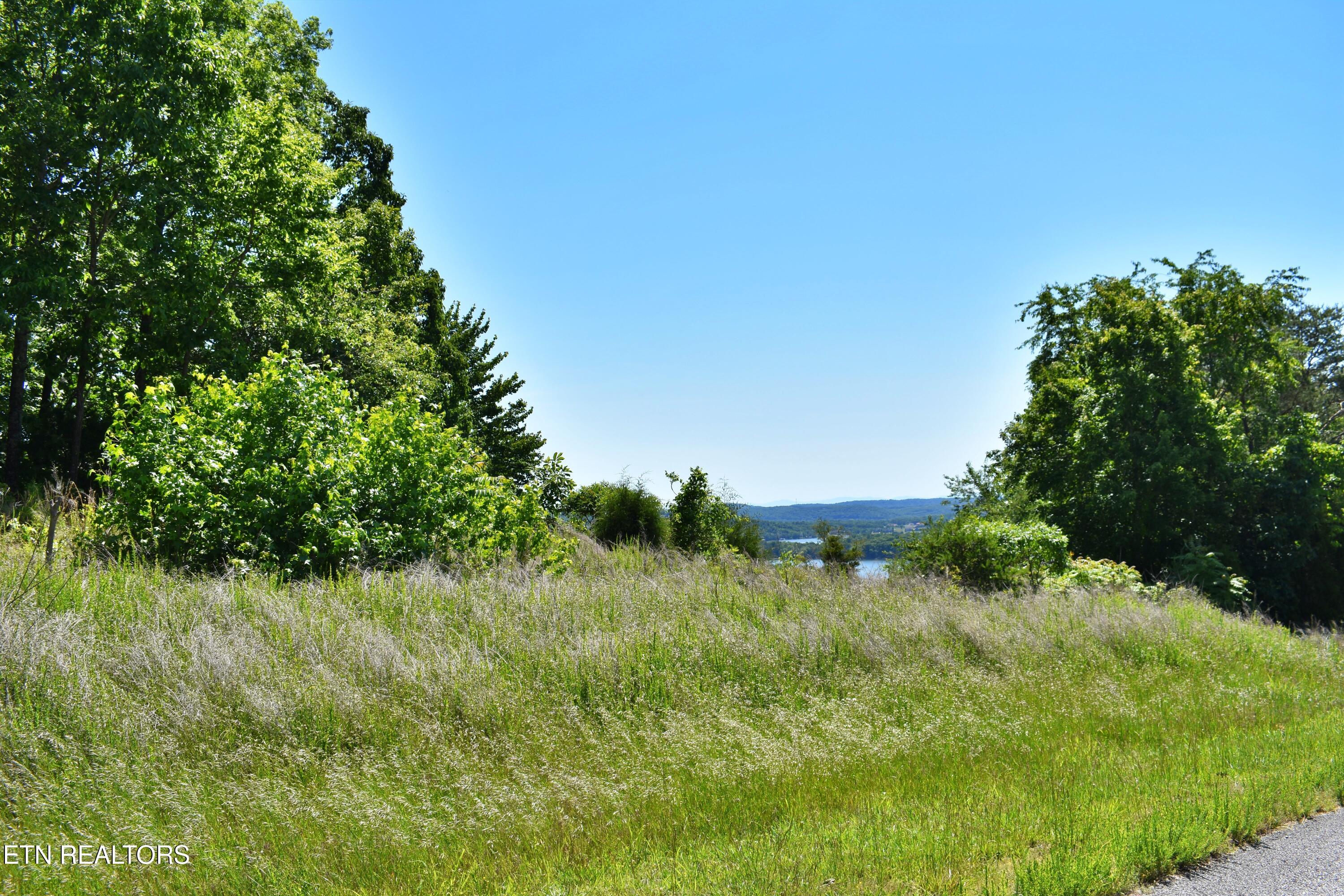 0 Flint Ridge Road Rockwood, TN 37854 - Photo 2 of 37 DSC_0651
