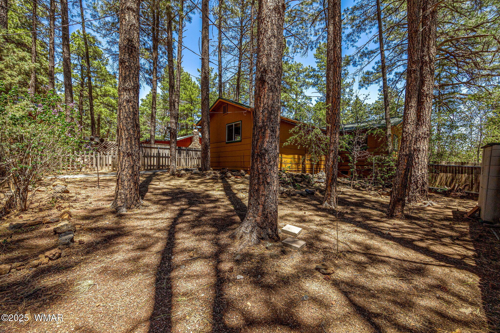 24 North Woodland Road Lakeside, AZ 85929 - Photo 27 of 37 Backyard