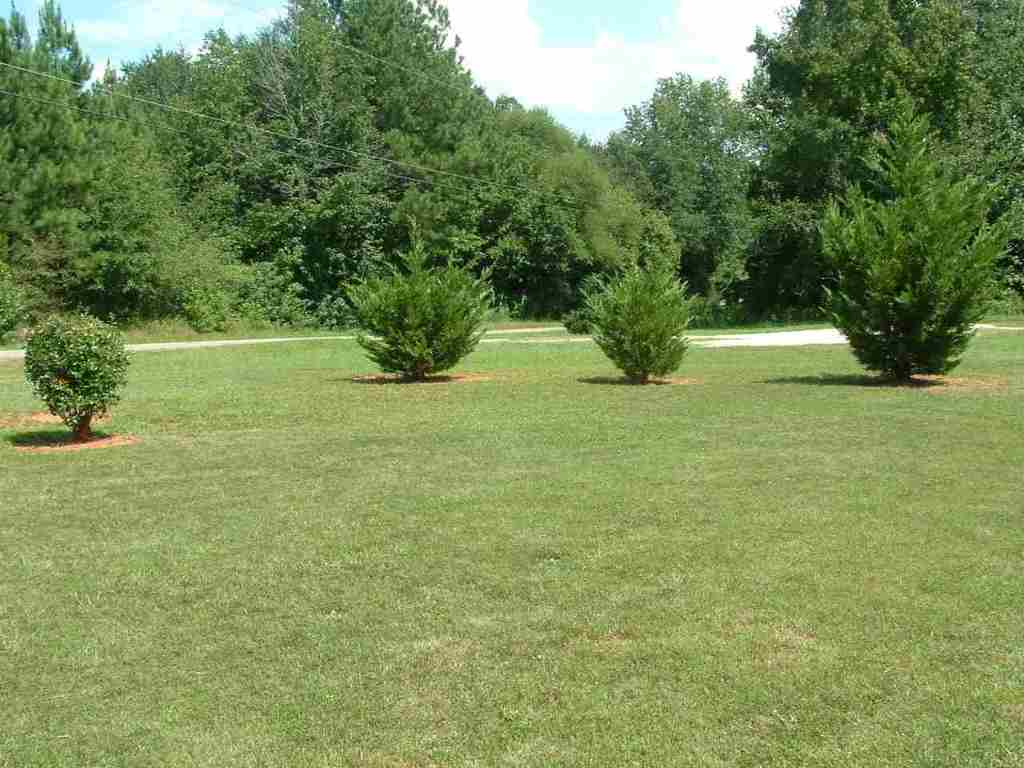 104 Kirby Road Belton, SC 29627 - Photo 4 of 35