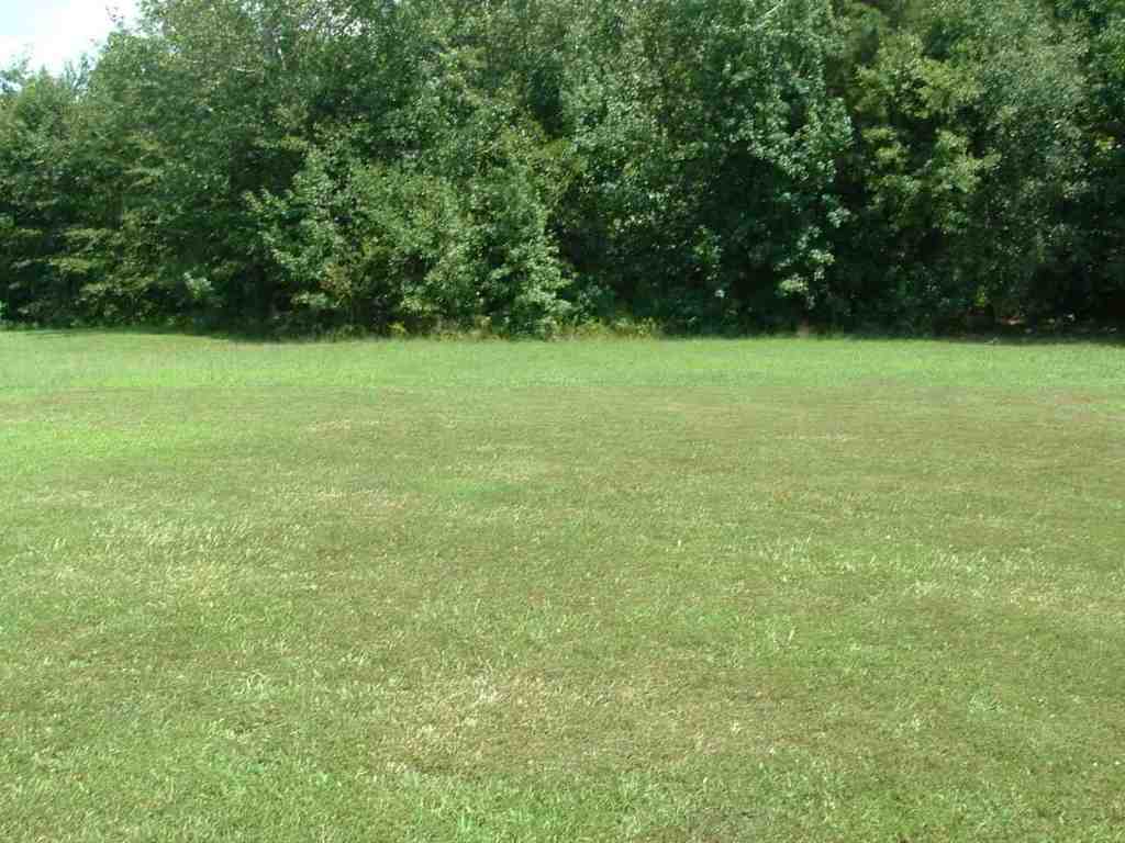 104 Kirby Road Belton, SC 29627 - Photo 10 of 35