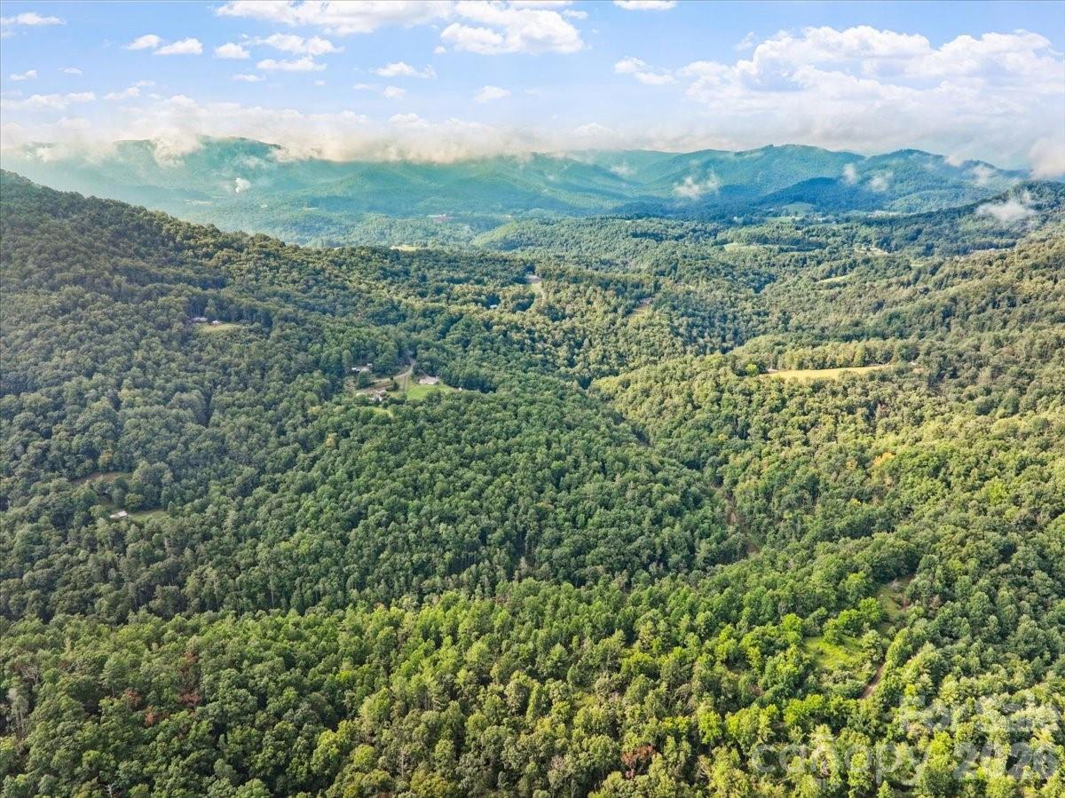 Tbd Rabbit Hop Road Spruce Pine, NC 28777 - Photo 6 of 14 Gallery Image 6