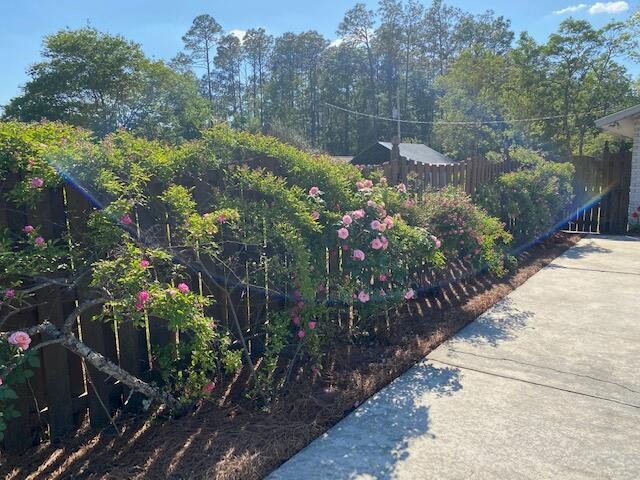 17 Sangaree Road Walterboro, SC 29488 - Photo 17 of 17 17 Sangaree 17