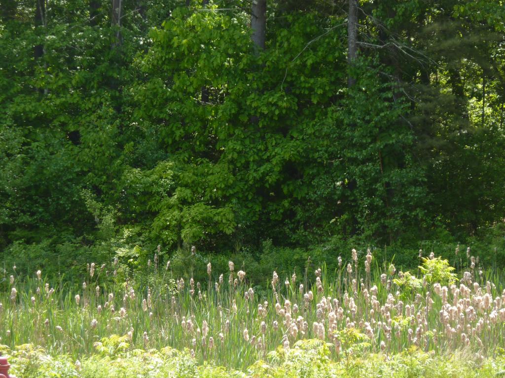 24 Anderson Lane Rochester, NH 03867 - Photo 22 of 23