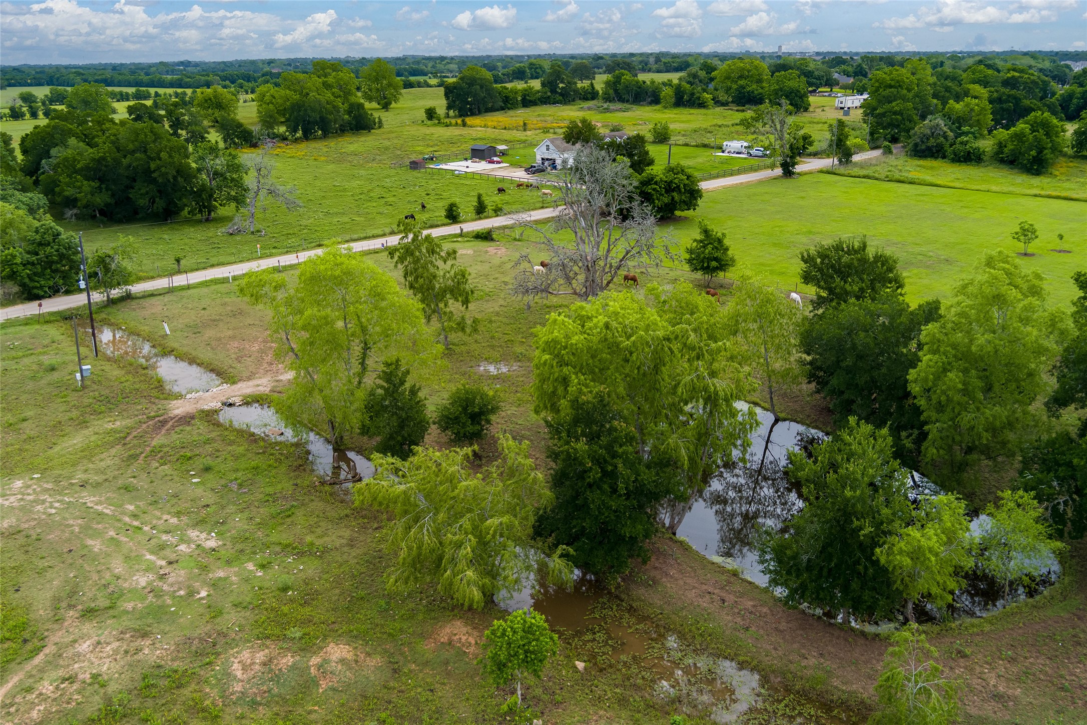 33703 Reynolds Road Fulshear, TX 77441 - Photo 17 of 18