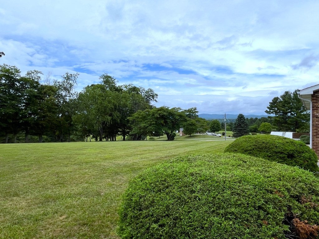 2088 Borderline Road Northwest Willis, VA 24380 - Photo 8 of 29 Gallery Image 8