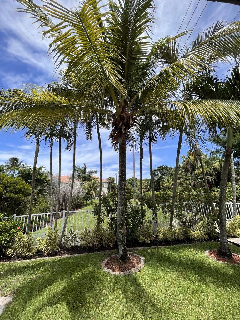 1107 Via Jardin Riviera Beach, FL 33418 - Photo 17 of 21 a garden with palm trees