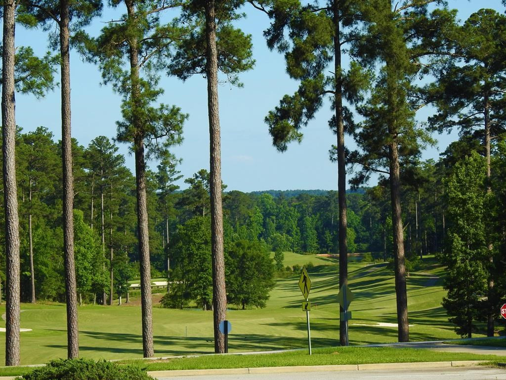 L7-b66 St Andrews Lane McCormick, SC 29835 - Photo 11 of 33