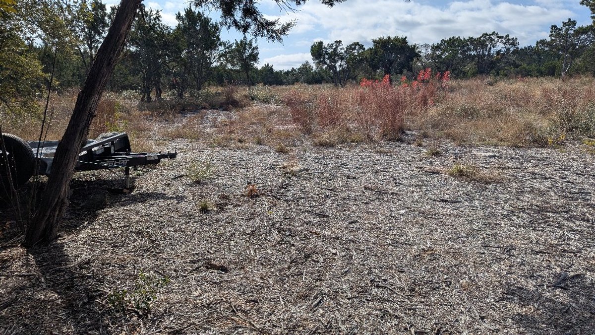 15765 Hamilton Pool Road Austin, TX 78738 - Photo 6 of 6 a view of a yard with a tree