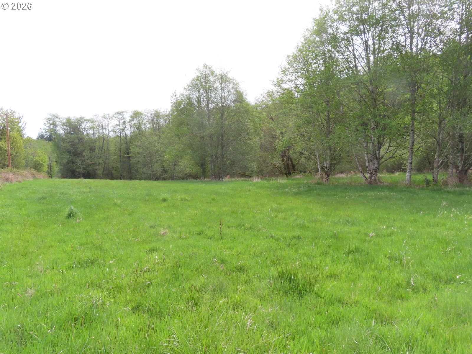 Hagen Road Mossyrock, WA 98564 - Photo 14 of 29