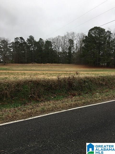 9523 Tingle Cutoff Road, Unit 1 Dora, AL 35062 - Photo 1 of 3