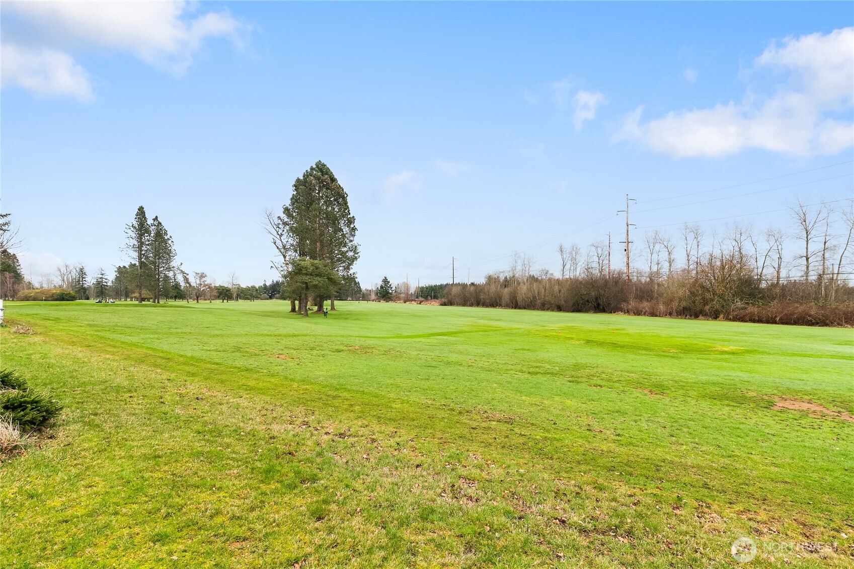 3191 Creasey Road Custer, WA 98240 - Photo 33 of 36 a view of a field with large trees