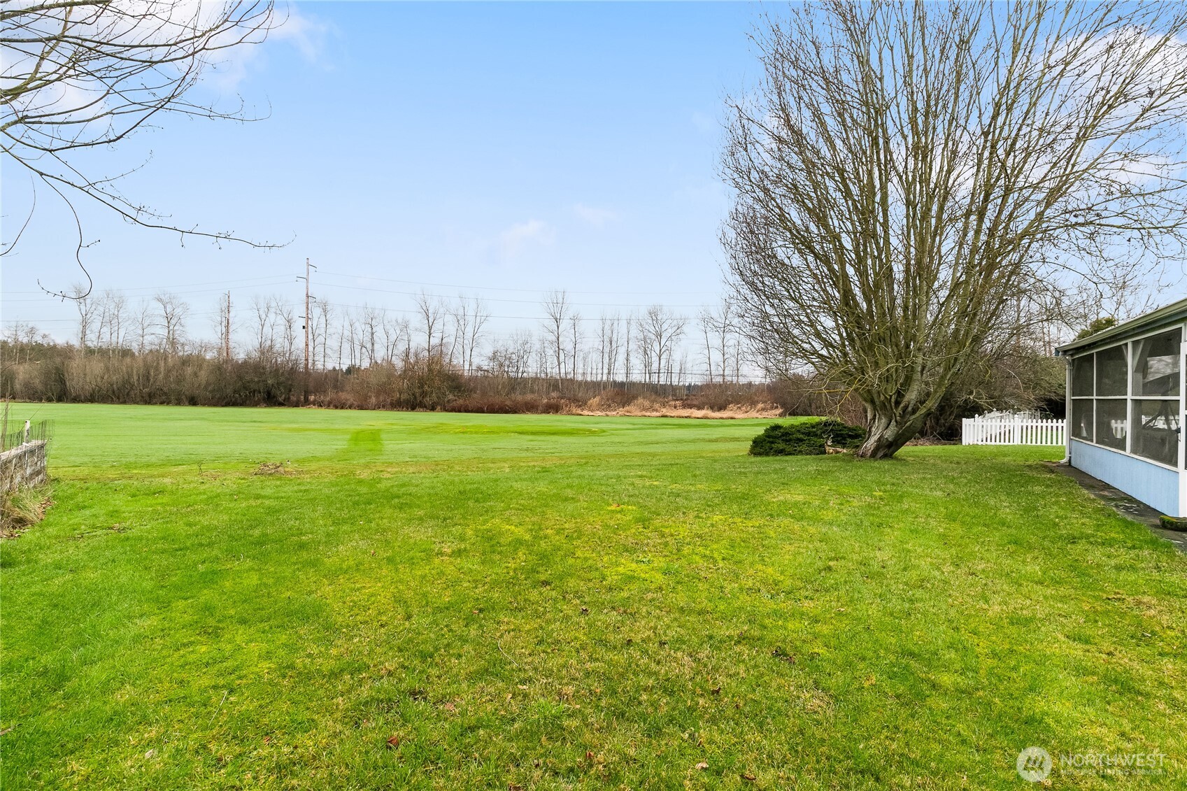 3191 Creasey Road Custer, WA 98240 - Photo 35 of 36 a view of yard with trees