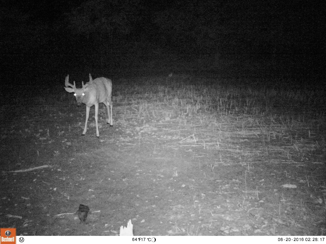 3130 South Mt Tom Road Mio, MI 48647 - Photo 54 of 54 Gallery Image 54