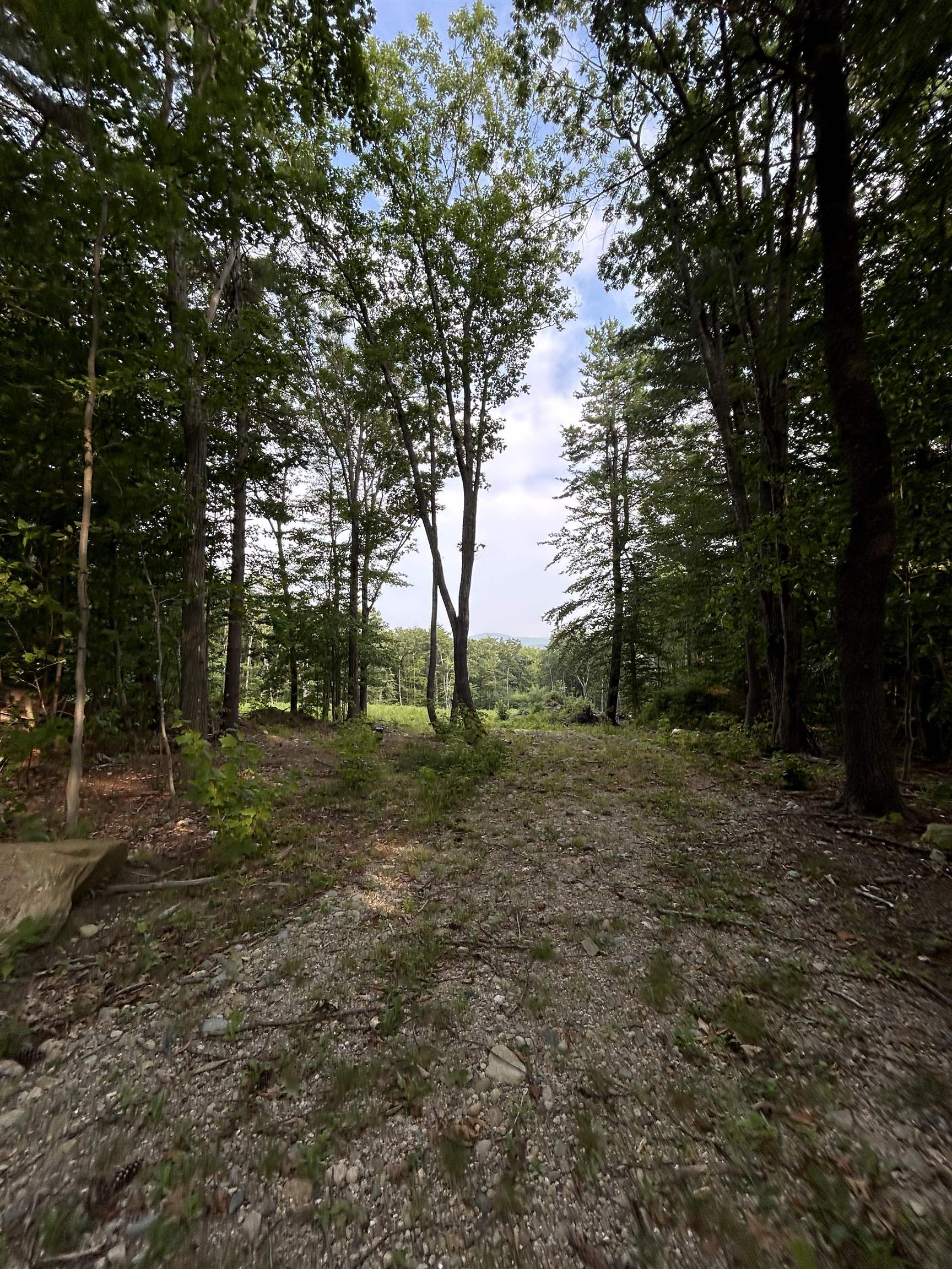Lot 29 Meaderboro Road Alton, NH 03809 - Photo 2 of 9