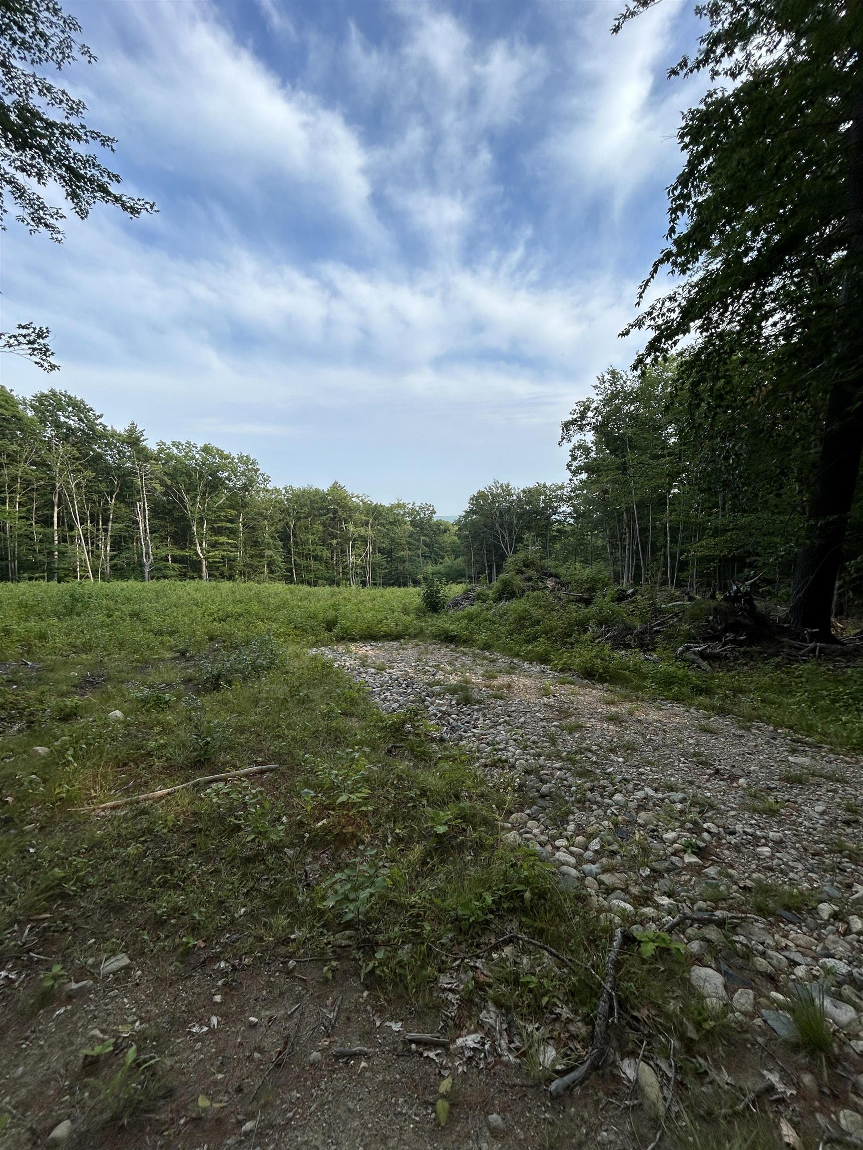 Lot 29 Meaderboro Road Alton, NH 03809 - Photo 3 of 9