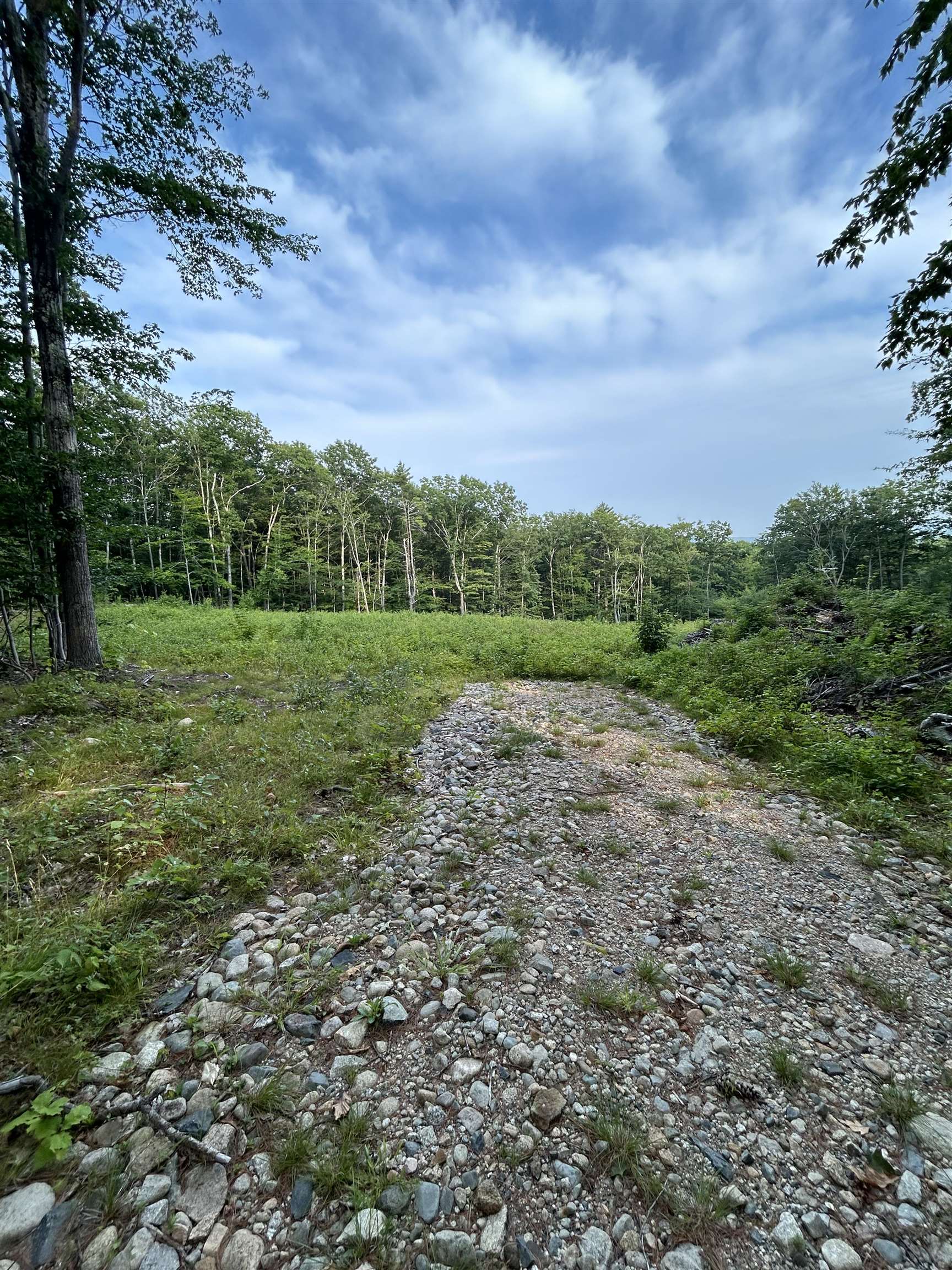 Lot 29 Meaderboro Road Alton, NH 03809 - Photo 4 of 9