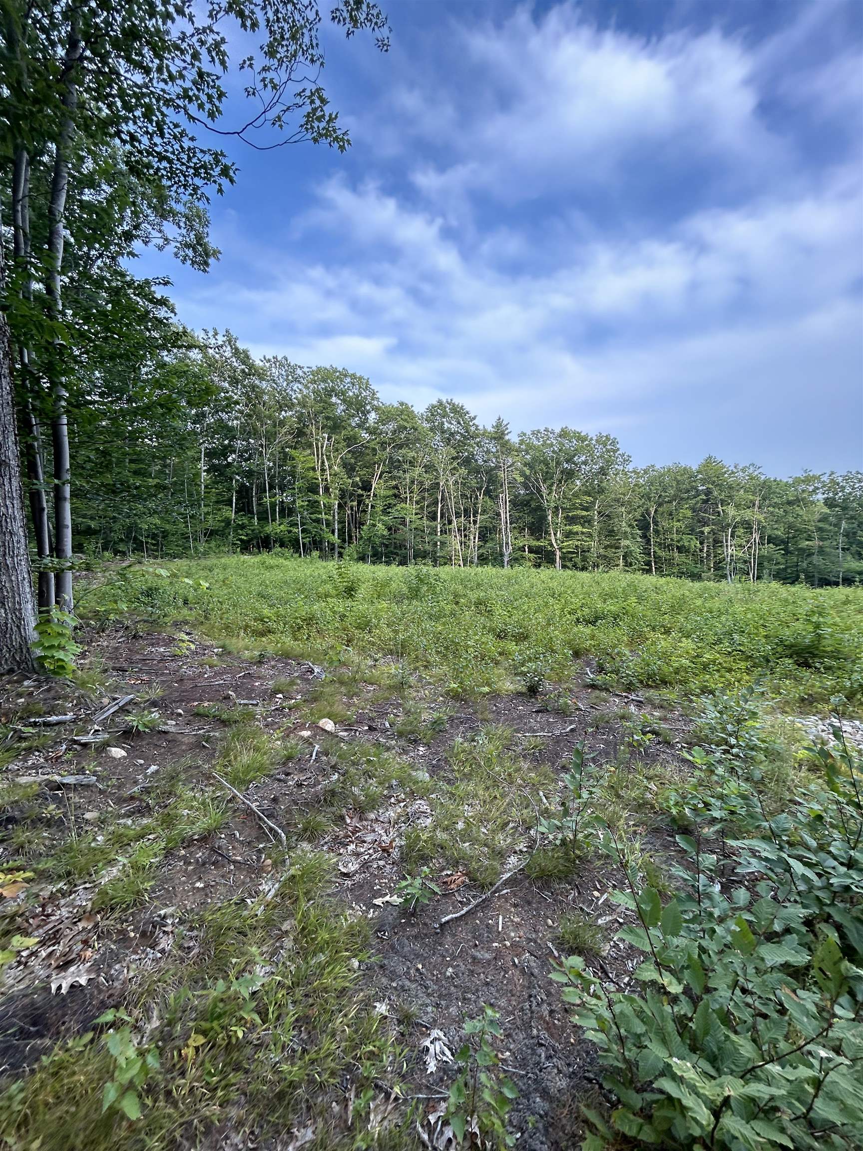 Lot 29 Meaderboro Road Alton, NH 03809 - Photo 5 of 9