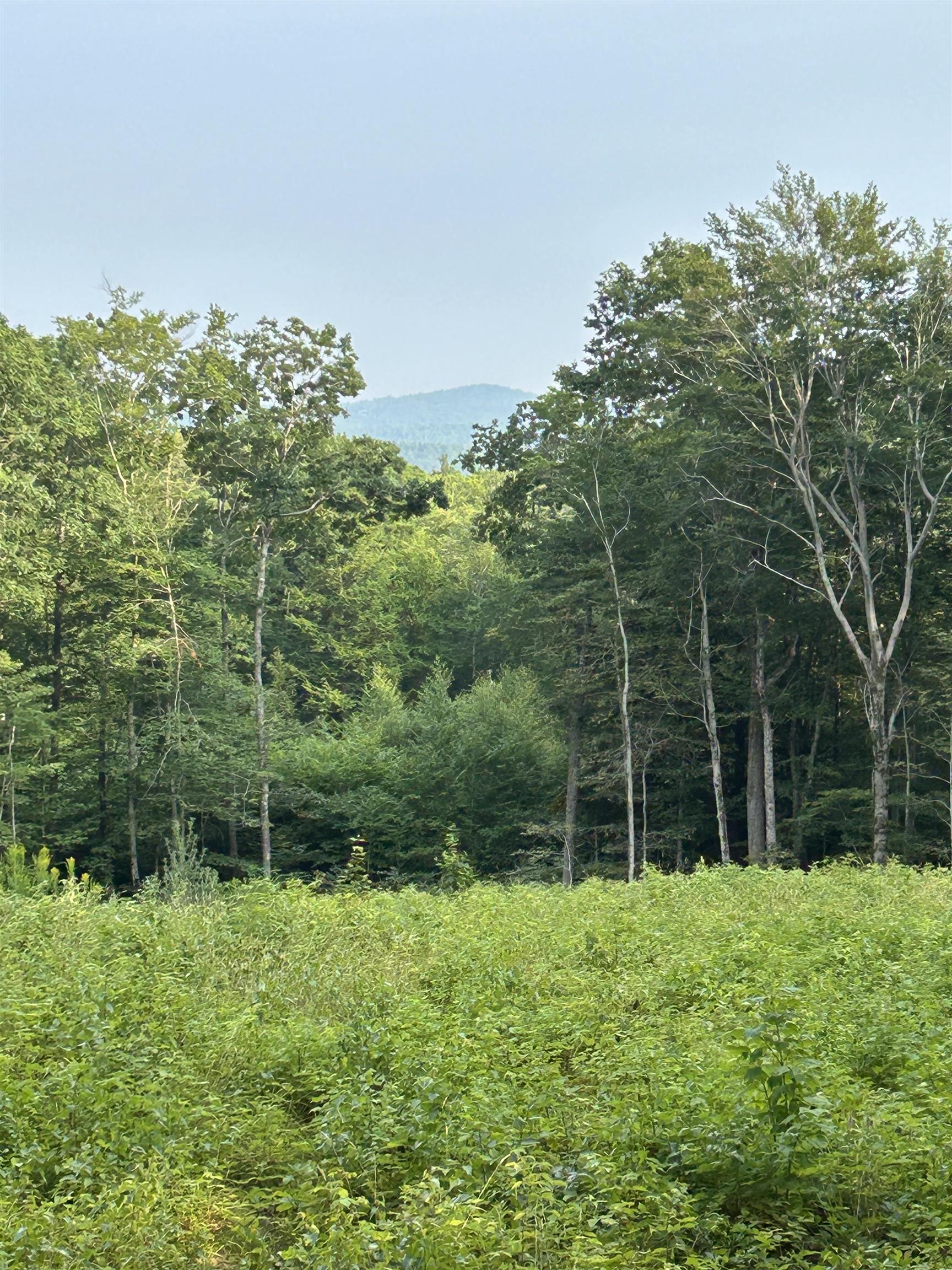 Lot 29 Meaderboro Road Alton, NH 03809 - Photo 6 of 9