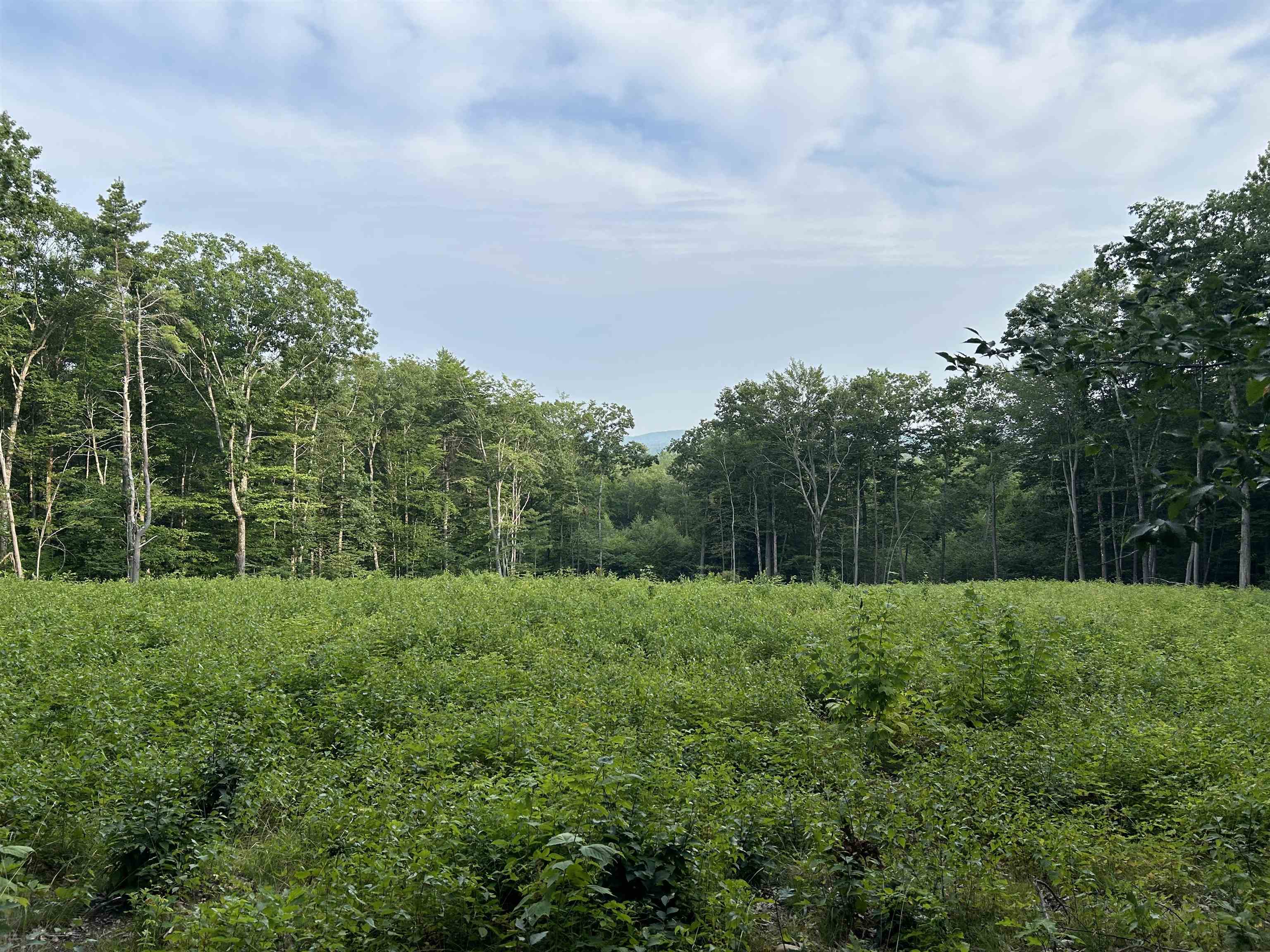 Lot 29 Meaderboro Road Alton, NH 03809 - Photo 7 of 9