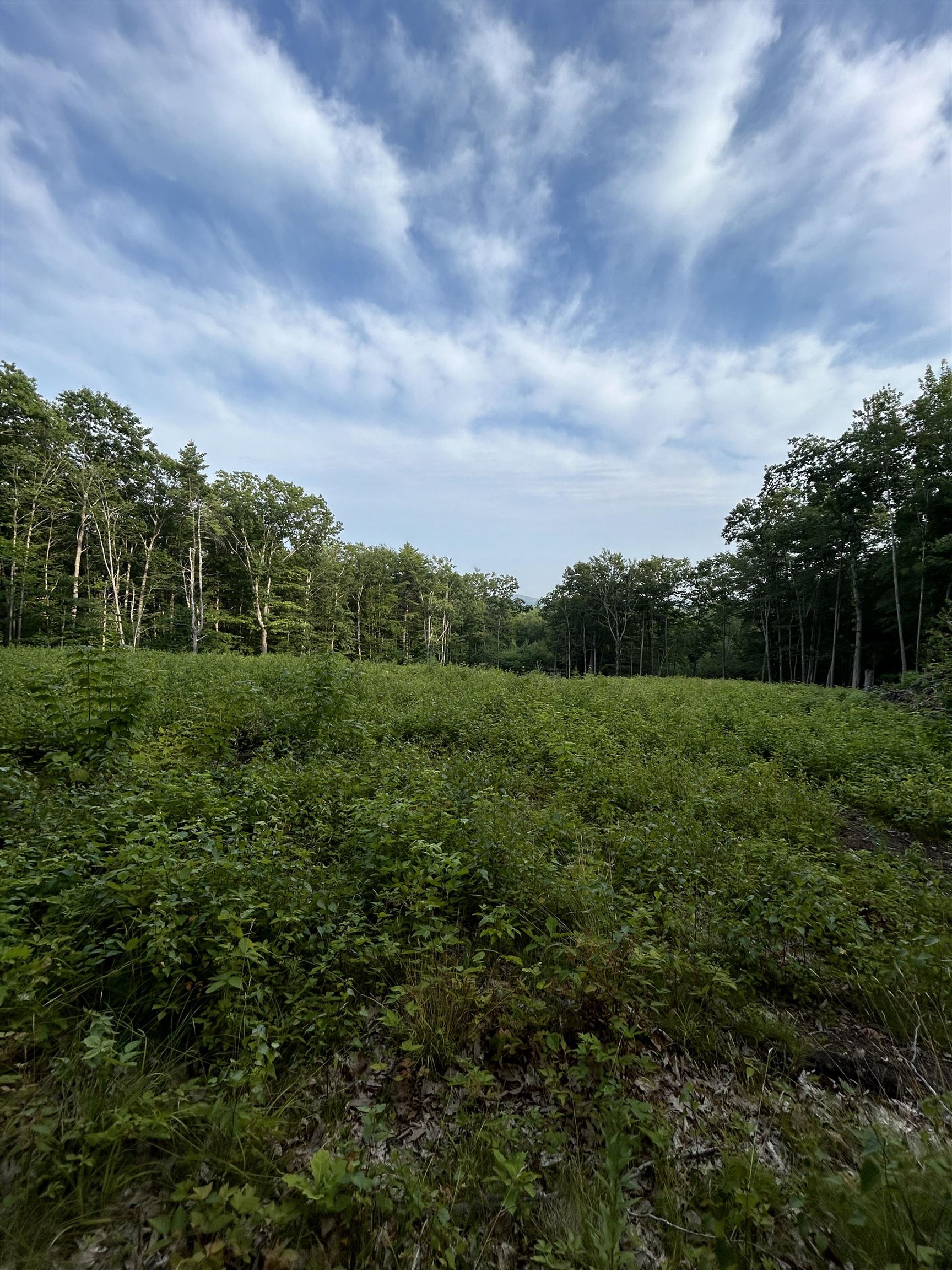 Lot 29 Meaderboro Road Alton, NH 03809 - Photo 8 of 9