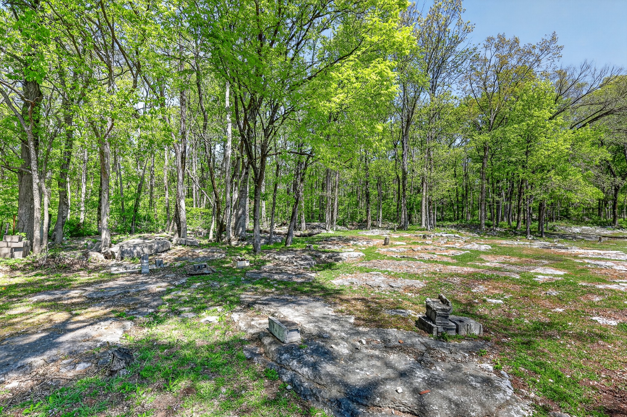 233 Rucker Road Murfreesboro, TN 37127 - Photo 30 of 43 a view of outdoor space with trees all around