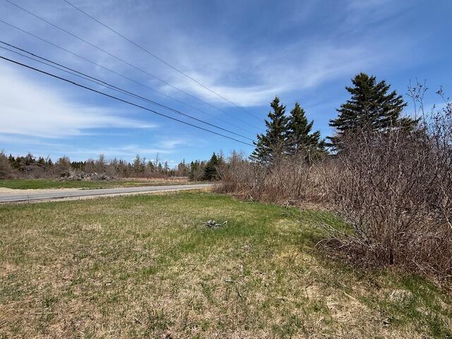 Lot 5 Holmes Bay Farms Road Whiting, ME 04691 - Photo 19 of 23 IMG_9071