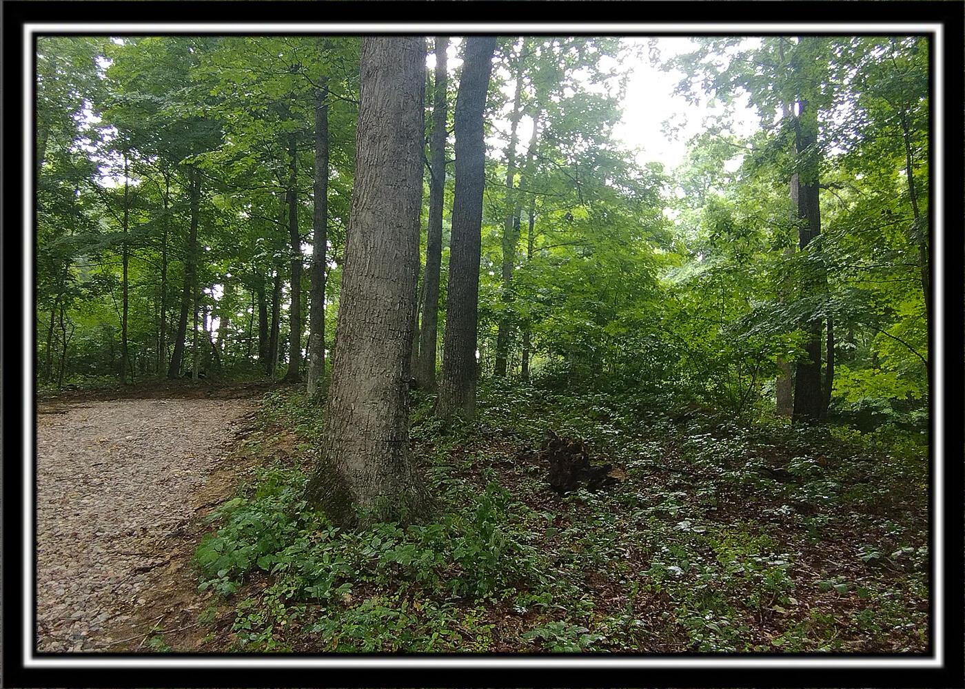 260 Raysville Road Jackson, OH 45640 - Photo 13 of 17 CT-13