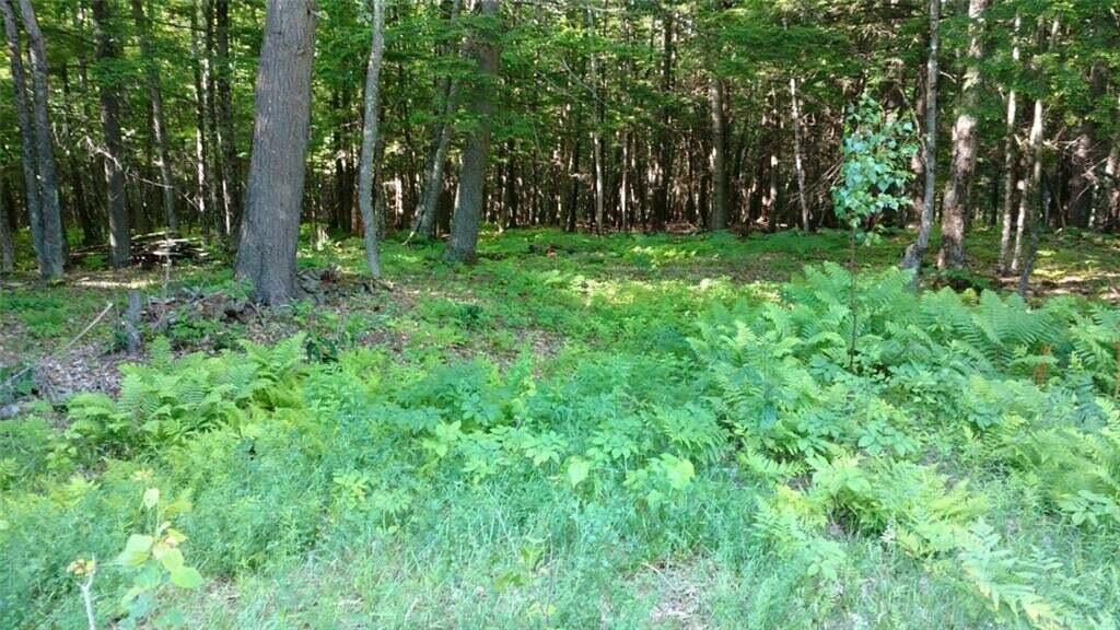 M8-l7-1 Mercer Road Mercer, ME 04957 - Photo 1 of 1 Primary Picture