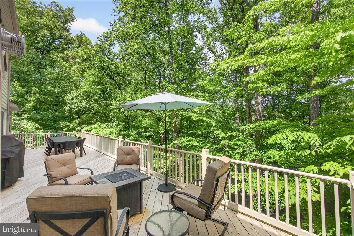 10490 Lakeridge Court New Market, MD 21774 - Photo 26 of 79 Top deck with stunning views