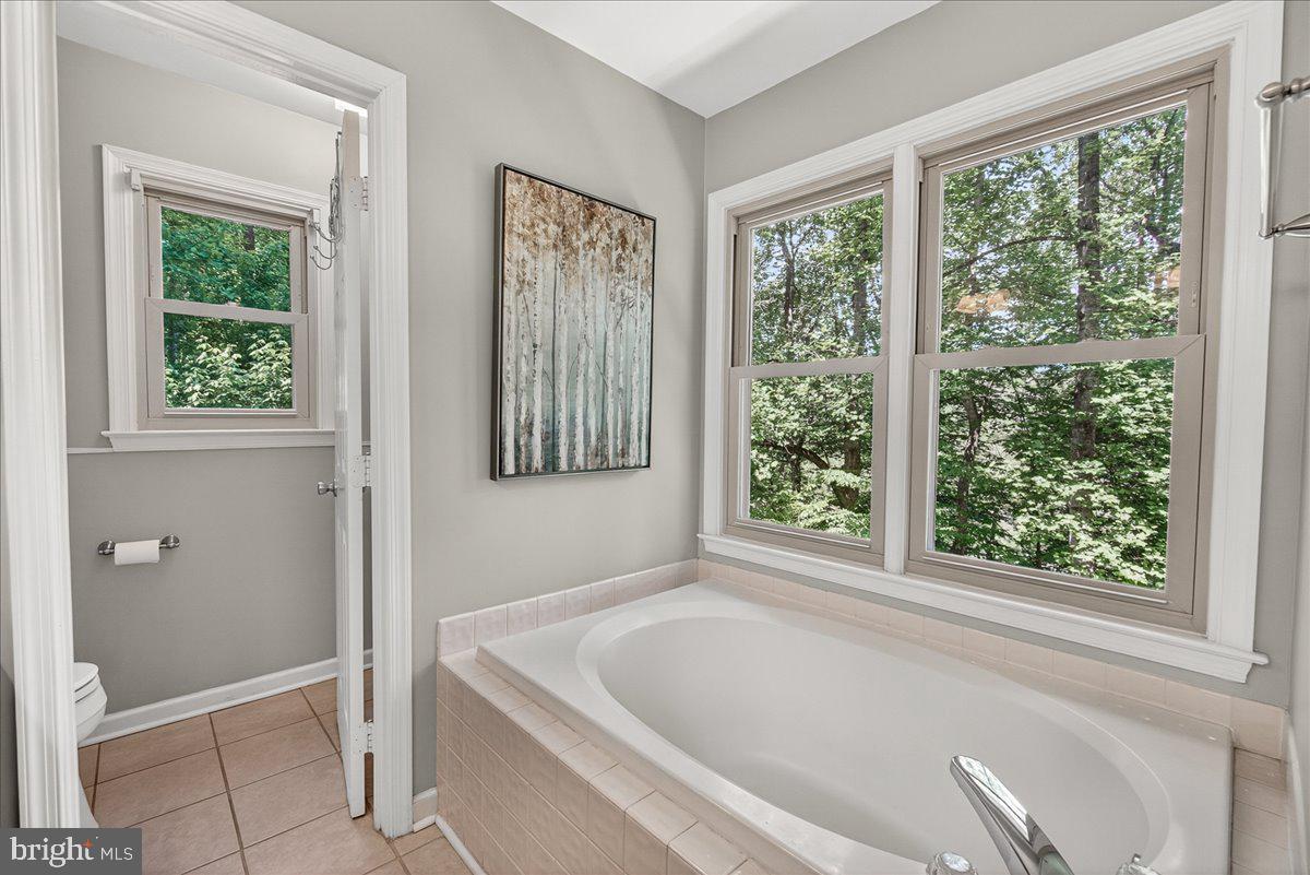 10490 Lakeridge Court New Market, MD 21774 - Photo 33 of 79 Soaking tub