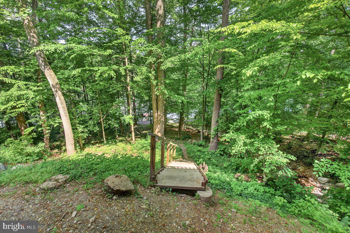 10490 Lakeridge Court New Market, MD 21774 - Photo 48 of 79 a garden view