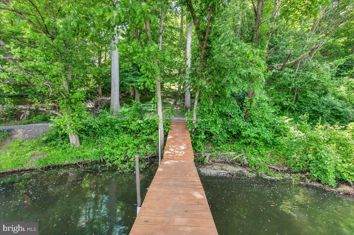 10490 Lakeridge Court New Market, MD 21774 - Photo 49 of 79 a view of a pathway both side of yard