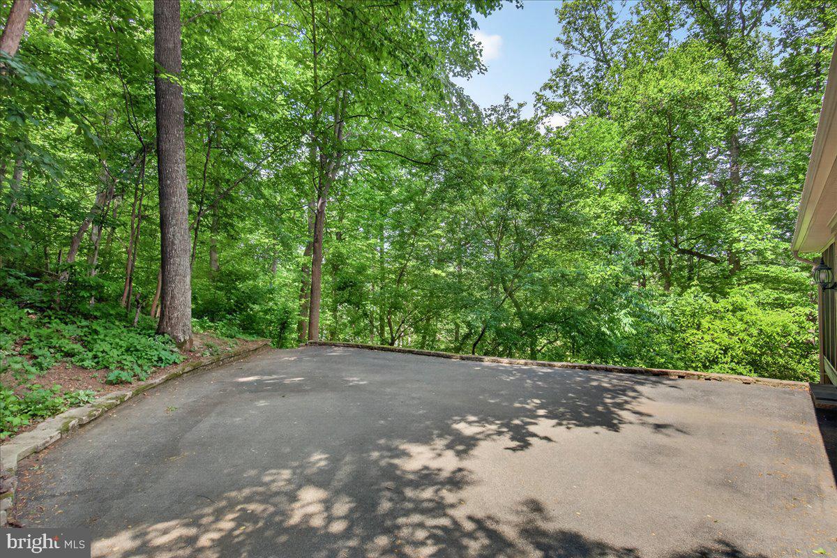 10490 Lakeridge Court New Market, MD 21774 - Photo 51 of 79 Abundance of parking