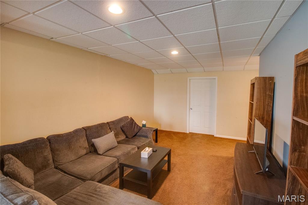 26044 Highway 3 Godfrey, IL 62035 - Photo 42 of 66