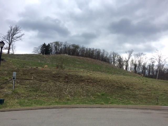 Lots 4-5 Parkedge Road Pittsburgh, PA 15220 - Photo 2 of 6 a view of a big yard