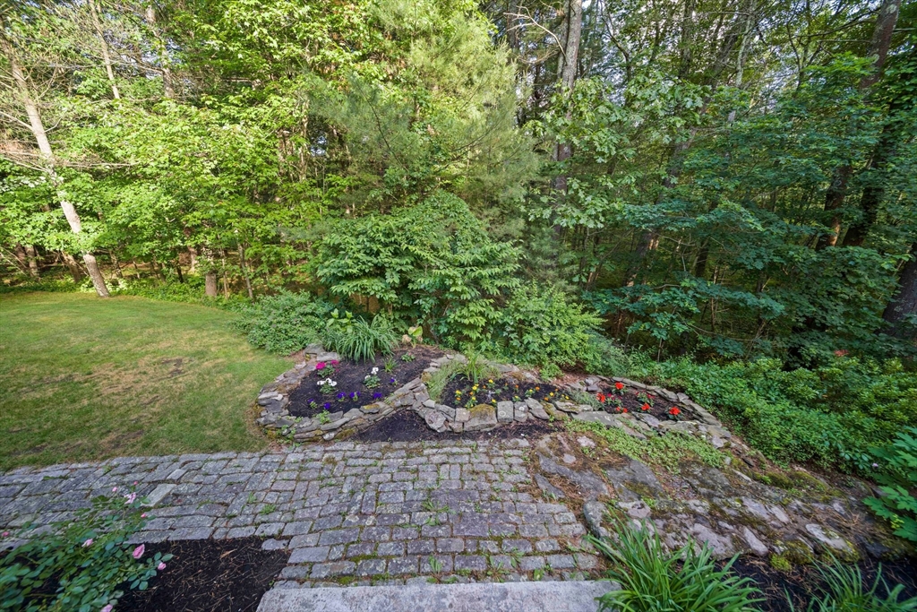155 Pine Street Medfield, MA 02052 - Photo 30 of 40 a view of a garden with potted plants