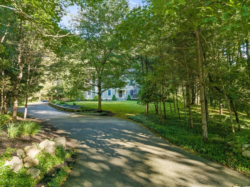 155 Pine Street Medfield, MA 02052 - Photo 33 of 40 a view of a yard with plants and large trees