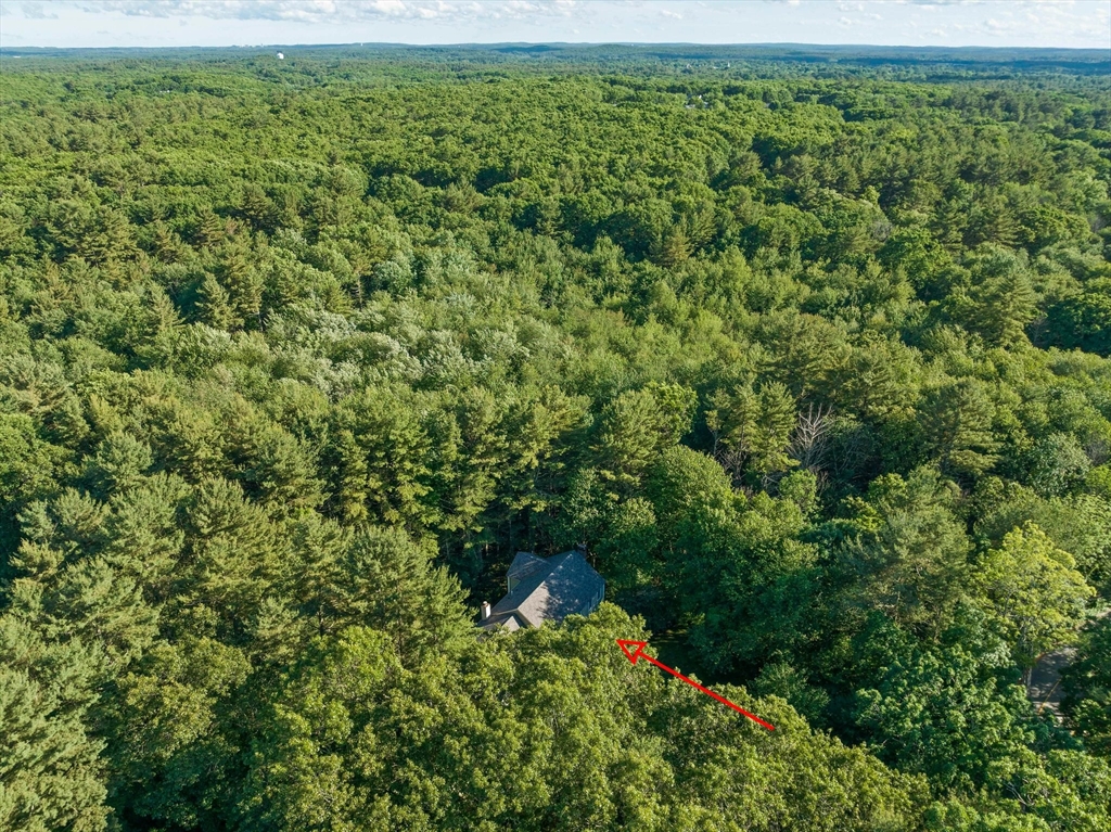 155 Pine Street Medfield, MA 02052 - Photo 36 of 40 a view of a garden