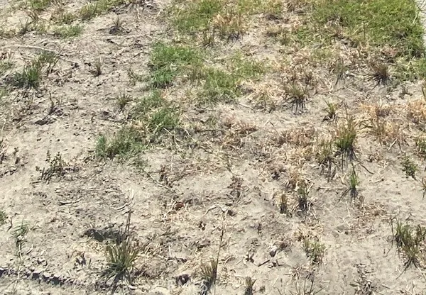 $26,000 | 1 A, Ridgecrest, CA 93555