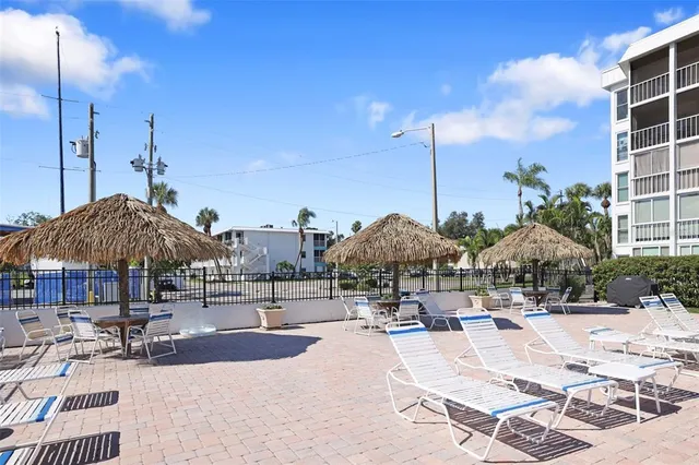 a outdoor space with lots of palm trees