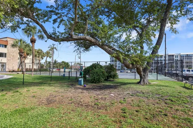 a view of a park with large trees