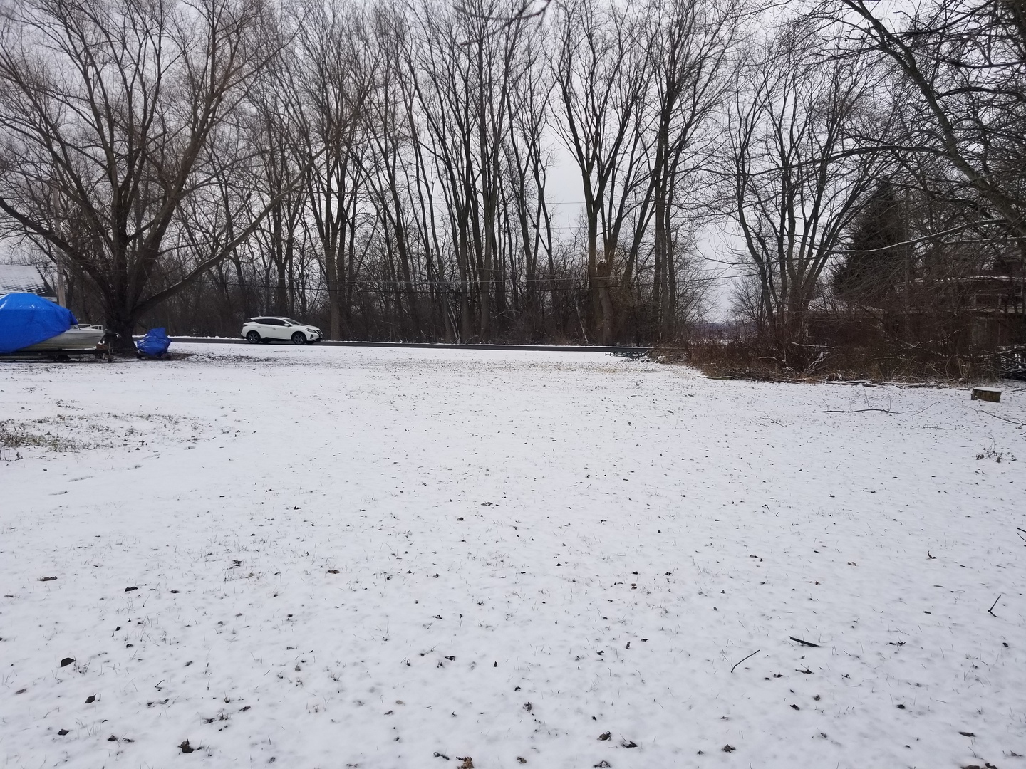 0 Spring Road Ingleside, IL 60041 - Photo 8 of 9 a view of a yard covered with snow