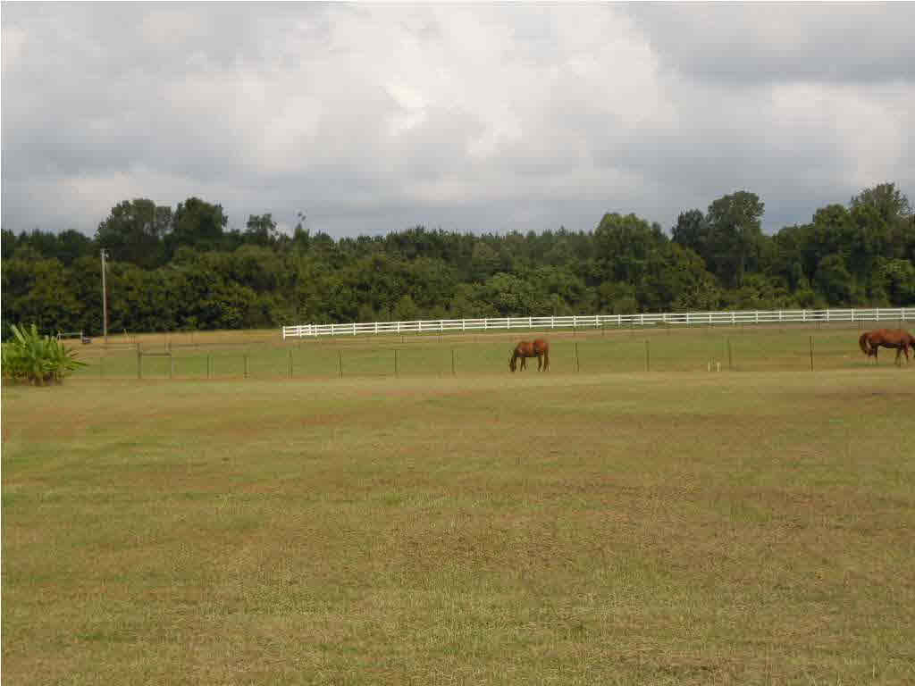 141 Moore Road Edwards, MS 39066 - Photo 13 of 36 side view
