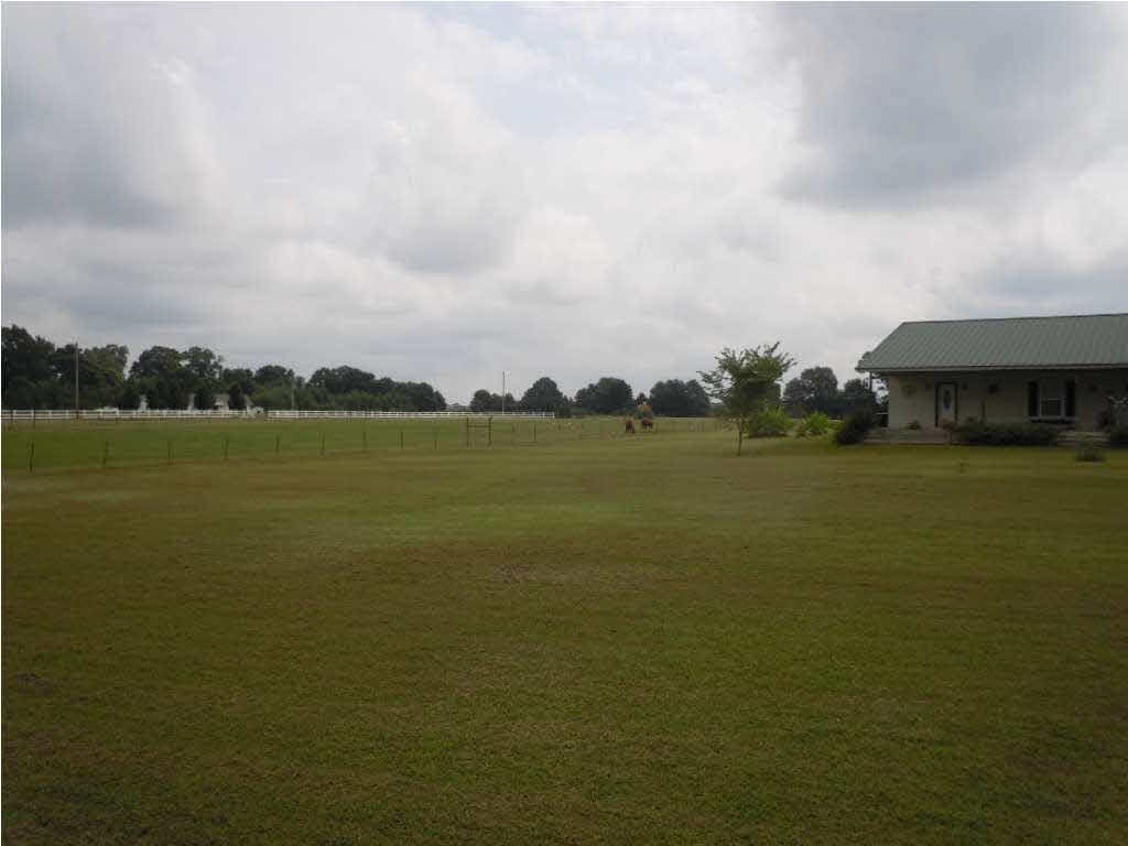 141 Moore Road Edwards, MS 39066 - Photo 4 of 36 view of side yard
