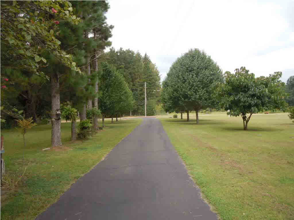 141 Moore Road Edwards, MS 39066 - Photo 10 of 36 drive way