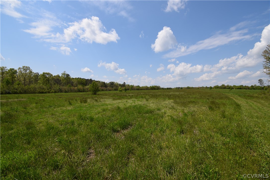 14837 Cox Road Sutherland, VA 23833 - Photo 24 of 45 Gallery Image 24