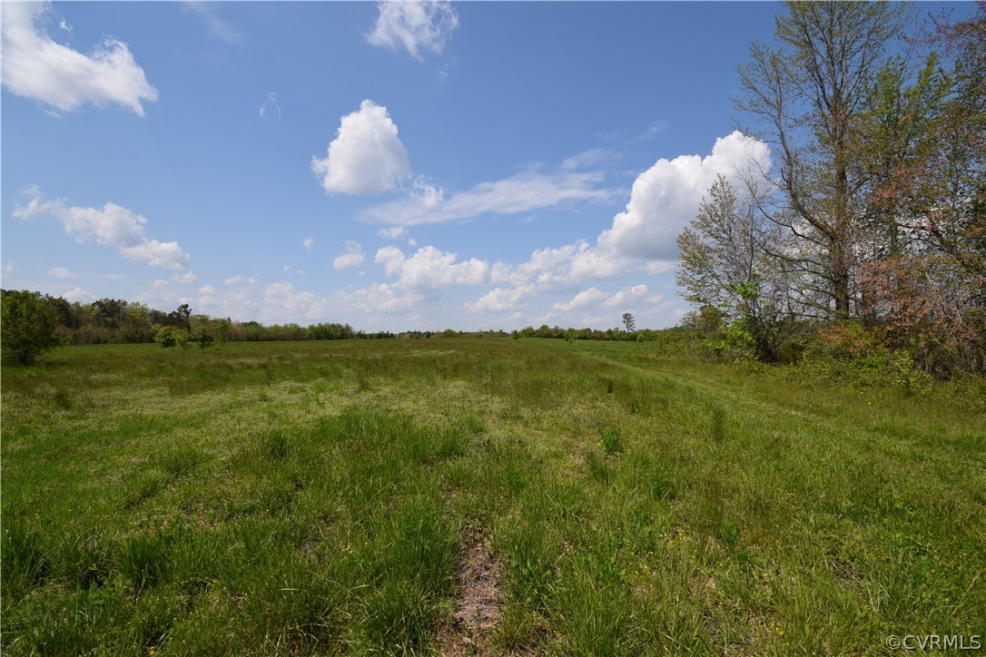 14837 Cox Road Sutherland, VA 23833 - Photo 25 of 45 Gallery Image 25