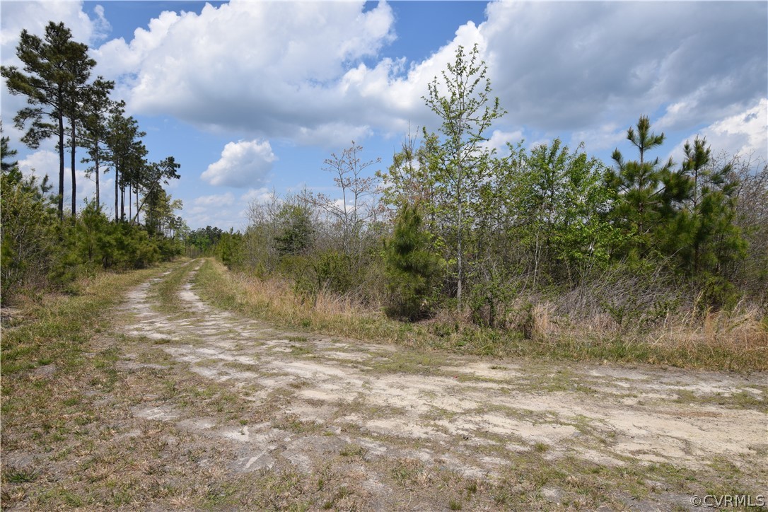 14837 Cox Road Sutherland, VA 23833 - Photo 32 of 45 Gallery Image 32